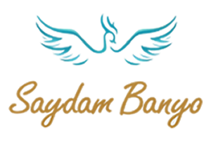 Saydam Banyo Logo